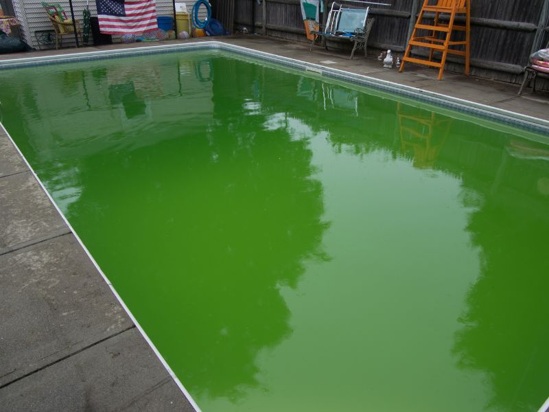 como-quitar-algas-piscina+portada